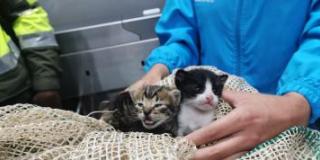 Una noche de rescates y reencuentros