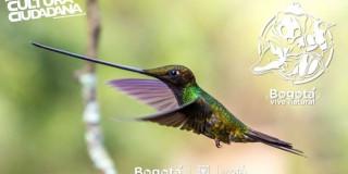 Continúan los recorridos Bogotá vive natural