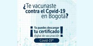 Sigue este paso a paso y descarga tu certificado digital de vacunación COVID-19