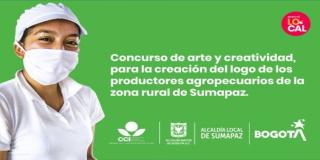 Resultados de la convocatoria para la creación del logo de la localidad 20 de Sumapaz