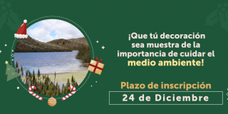 ¡Inscripciones abiertas para participar en el concurso que premia la mejor decoración navideña! 