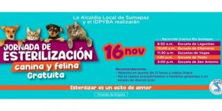 Jornada de Esterilización canina y felina