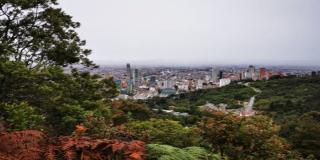 Contraloría Distrital archivó la indagación a contrato entre 16 Fondos de Desarrollo Local y La Cruz Roja Seccional Cundinamarca y Bogotá para la entrega de ayudas humanitarias.