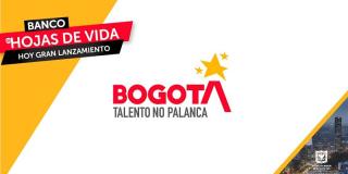 ‘Talento no Palanca’: donde el mérito gana