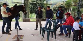 Campesinos de Sumapaz aprendieron sobre doma racional y herrería en taller dictado por la alcaldía local