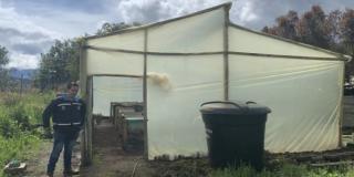 En vivero de Sumapaz plantan hortalizas y tubérculos para contribuir a la seguridad alimentaria