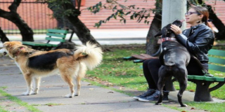  Usaquén comprometida con la protección y el bienestar animal