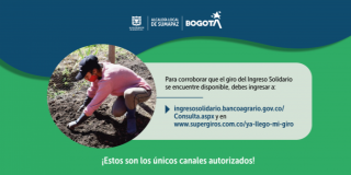Te invitamos a consultar si eres uno de los beneficiarios del Ingreso Solidario 