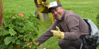Bogotanos vivieron maratónica jornada de embellecimiento de la ciudad