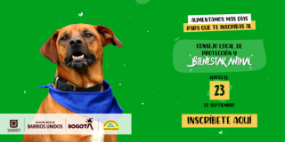 ¡Aún estás a tiempo! Inscríbete y sé parte del Consejo Local de Protección y Bienestar Animal