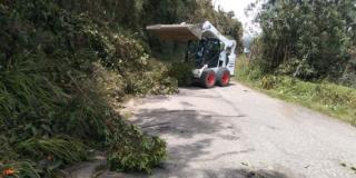 Así estamos trabajando en Sumapaz