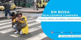 En Bosa realizamos campaña “Pisa el freno, un animal puede pasar”