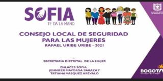 Se realizó sesión virtual del Consejo Local de Seguridad de las Mujeres en Rafael Uribe Uribe
