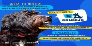 Invitación al Consejo Local de Protección y Bienestar Animal