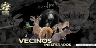 Vecinos inesperados llega al Teatro Villa Mayor 