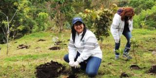 Personería Distrital y Alcaldía Local de Sumapaz realizaron jornada de plantatón en Sumapaz