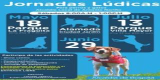 Prográmese este sábado: jornada lúdica de Protección y Bienestar Animal en Antonio Nariño 
