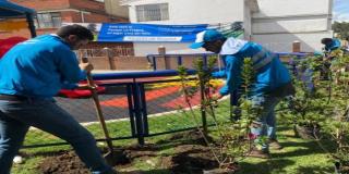 Jornada de siembra en los barrios 5 de Noviembre y La Fragua