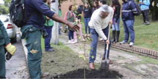 400 nuevos árboles en la Localidad de Usaquén