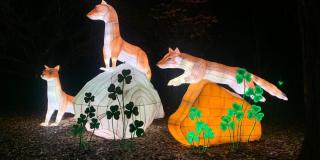 El Festival Brilla homenajeará los símbolos naturales de Colombia