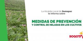 Temporada de Heladas 