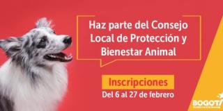 La Alcaldía Local convoca a organizaciones, juntas de acción comunal, veterinarios para conformar el Consejo Local de Protección, plazo hasta el 27 de febrero de 2020.
