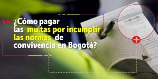 Procedimiento para pagar las multas por incumplimiento de normas en Bogotá