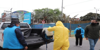 Control de vectores e insectos en Antonio Nariño