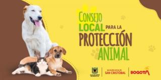 Invitados a ser parte del Consejo Local para la Protección Animal