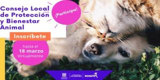 Ya están abiertas inscripciones para el Consejo Local de Protección y Bienestar Animal