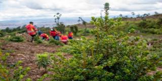 Secretaría de Ambiente prepara más de 228.000 árboles para reverdecer a Bogotá
