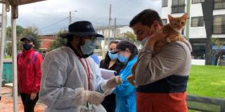 Se realizaron cerca de un centenar de atenciones en jornada de bienestar animal en Santa Isabel