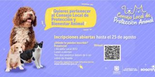 Abiertas las inscripciones para conformar el consejo local de protección animal en Rafael Uribe Uribe 