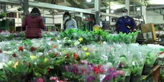  Con reubicación de 70 comerciantes informales se inaugura en Los Mártires el mayor comercio de plantas ornamentales de Bogotá 