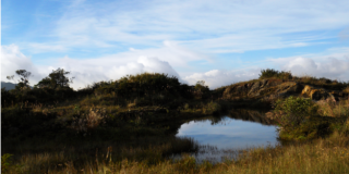 Caminata recreo-ecológica al Páramo de Cruz Verde y antiguo camino real a Ubaque