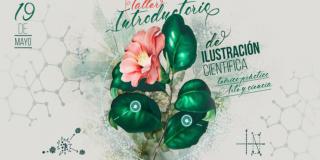 Taller introductorio de ilustración científica - Foto: Instituto Distrital de las Artes (IDARTES)