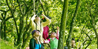 Caminata avistamiento de aves y recorrido sendero parque la Florida