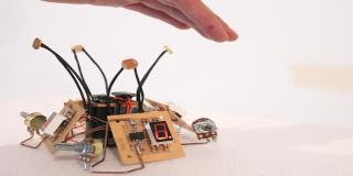 Prototipos - Foto: Plataforma Bogotá