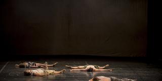 Raices Flojas - Foto: Instituto Distrital de las Artes (Idartes)