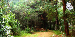 Caminata hacia el sendero Cerro La Aguadora