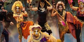 Simba, el príncipe león - Foto: Instituto Distrital de las Artes (Idartes) Simba, el príncipe león - Foto: Instituto Distrital de las Artes (Idartes)