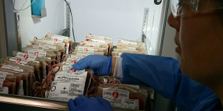 Listos suministro de sangre para la visita del papa - Foto: Secretaría de Salud