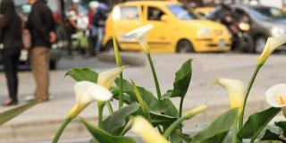Taxistas recompensa - FOTO: Prensa Consejería de Comunicaciones