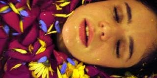 En escena "Violeta de mil colores" 