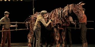 War Horse