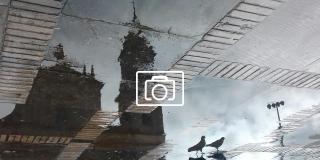 Dos palomas en la Plaza de Bolívar, en el piso el agua de la lluvia permite ver reflejada la Catedral Primada de Colombia 