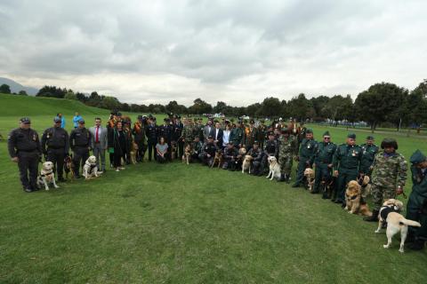 Alcaldía de Bogotá entregó reconocimiento a héroes caninos y equinos que apoyan labores de seguridad - FOTO: Consejería de Comunicaciones