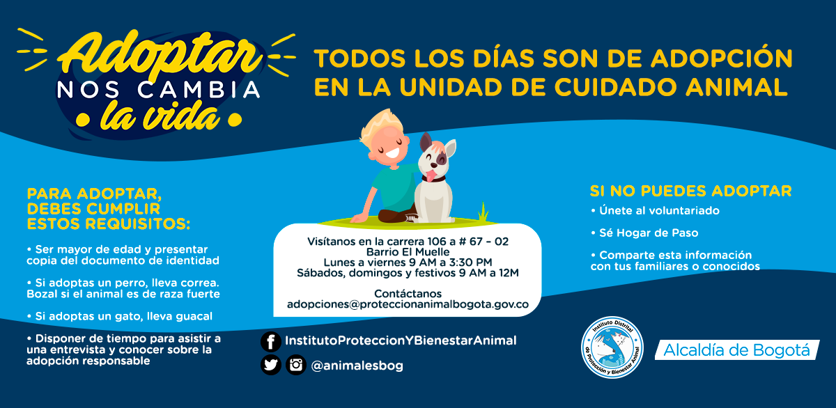 Volante de la dinámica de adopciones de mascotas en Bogotá.