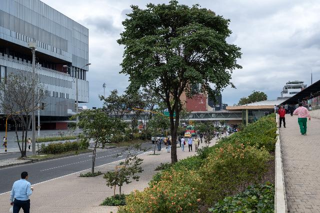 Una foto de un espacio publico, donde hay varias calles, callejones, un corredor ambiental con arboles y varias personas caminando