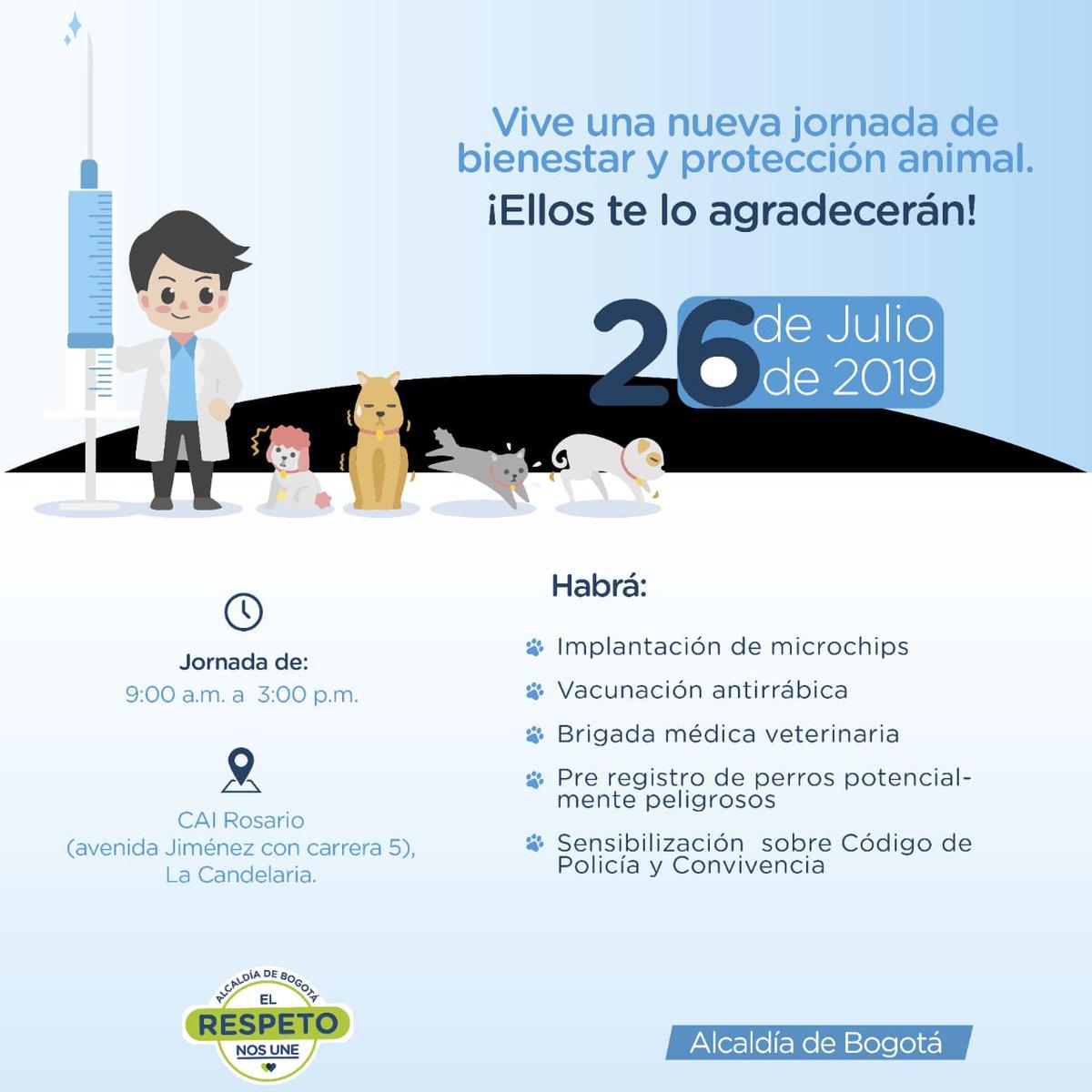 nueva jornada de protección y bienestar animal en la localidad de La Candelaria